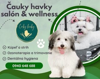 Groomer/ka, psí salón & wellness Čauky havky