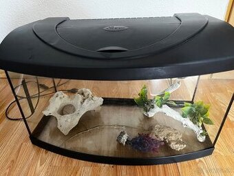 Akvarium