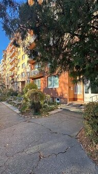 Veľký 3izbový byt v úplnom centre mesta - 1