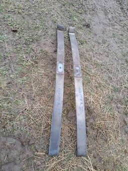 Master - listove pera