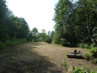 Exkluzívne na predaj rekreačný pozemok v Beluši