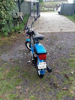 Predám námet Korado