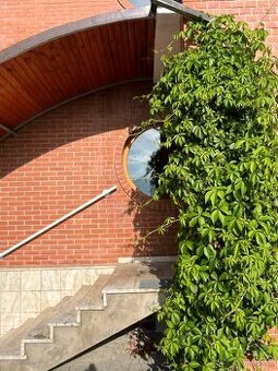 Hľadáte miesto na prácu v pokojnom a originálnom prostredí?