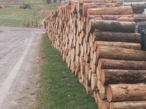Palinove drevo 40+ dovoz
