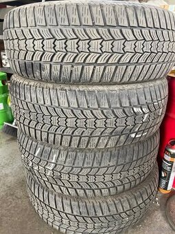 205/60 R16 sava