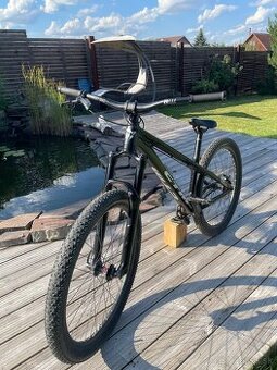 CTM DIRTKING PRO 2020