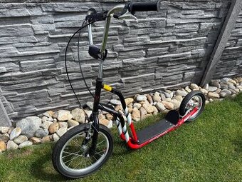 Kolobežka SHORTY - 1