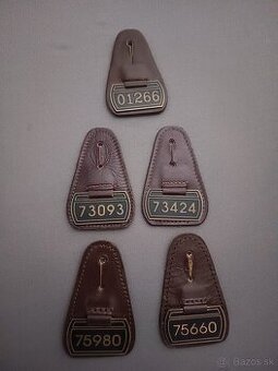 Identifikacne cislo kapsovy odznak VB SNB ZNB policajne