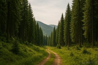 INVESTIČNÉ PODIELY V LESNÝCH POZEMKOCH – MAKOV & VYSOKÁ