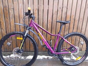 Predam Leader fox galaxy .