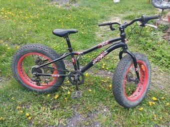 Fat bike
