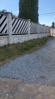 Predam sadu foriem na betónový plot