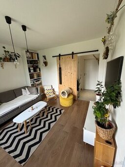 Prenájom 2izbový byt v severskom štýle Hliny 7