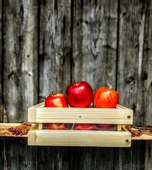 🏡 Drevené debničky – krásne, pevné, praktické