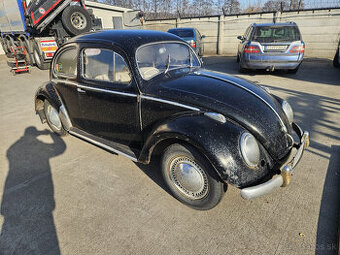 Volkswagen chrobak OVAL 1956 s TP