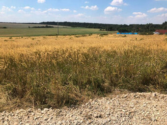 Predáme pozemky v Novom Cabaji