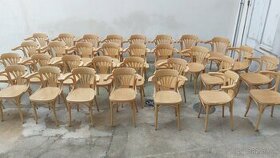 Stoličky TON židle vzor 24 sv - 1