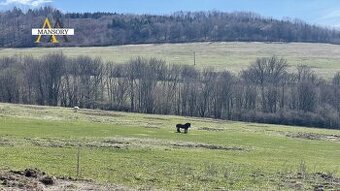 Na predaj stavebný pozemok pod Rodinný dom