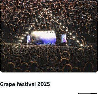 Grape festival 2025