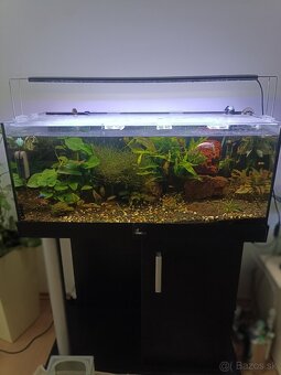 Akva 100l, LED,CO2,filter