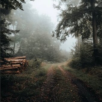 Kalnište – 6.264 m2 LESOV (Urbáru)