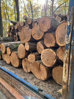 PALIVOVE DREVO METROVICA