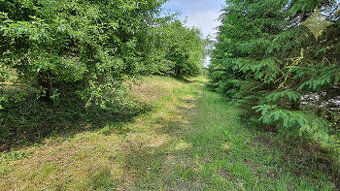 POZEMOK, Malá Čausa, TOP ,,LUKRATÍVNA“ POLOHA/ poz. 408 m2