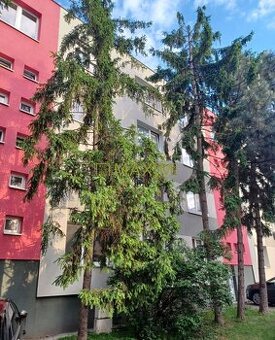 3-izbový byt s balkónom v Seredi, ulica Spádová