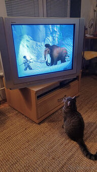 CRT Televízor Panasonic