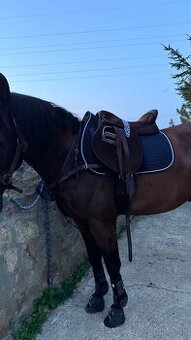 Semišové pólo sedlo (dovoz Argentína)