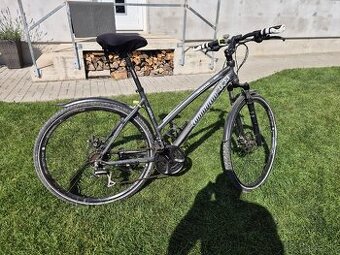 LOMBARDO Amantea 200