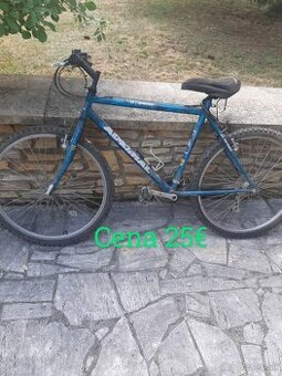 Pánsky bicykel