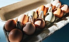 Domáce vajíčka s dovozom do BA