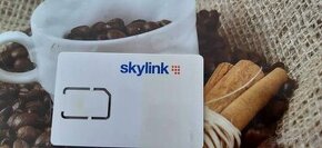 Skylink karta Irdeto