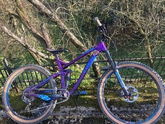 Trek remedy8