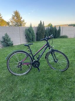Dámsky bicykel CTM Maxima 1.0 veľkosť M