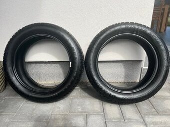 Zimné pneumatiky DUNLOP Winter Sport 5, 225/55 R19