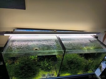 Akvárium 100x40x40 (160L)