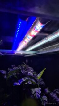Svetlo do akvária