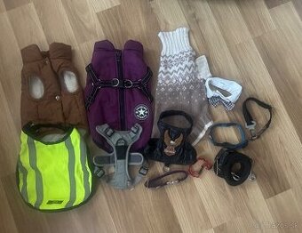 Darujem oblecenie pre mensieho psika / macicku
