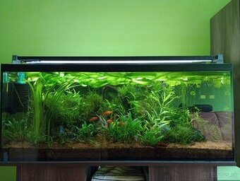 Akvarium 300 l