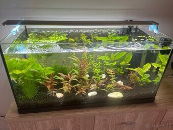 🌿 Sinkor LED 60 cm – TOP svetlo pre rastlinné akvárium 🌿