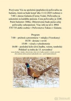 Spoločná poľovačka