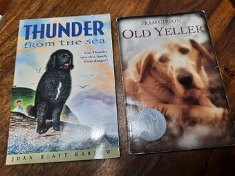 Knihy v Angličtine pre deti a mládež