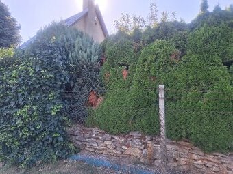 Murovaná záhradný chata, Vinohrady, NMnV