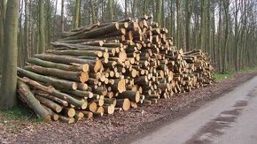 Palivové drevo napredaj 4m