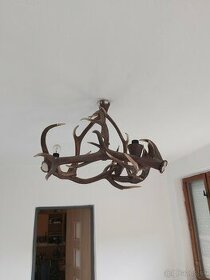 Predám luster z jelena