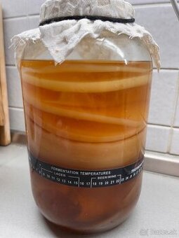 Kombucha