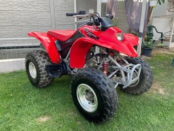Honda TRX 250