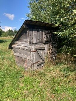 Kurnik, zajacinec